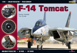 29 - F14 Tomcat