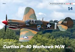 33014 - Curtiss P-40 Warhawk M/N