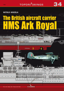 The British aircraft carrier HMS Ark Royal