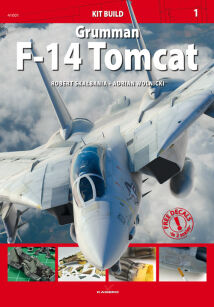 41001 - Grumman F-14 TOMCAT