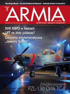 29 - Armia