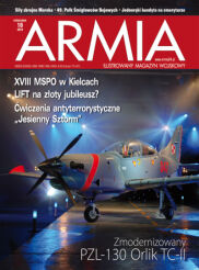 29 - Armia
