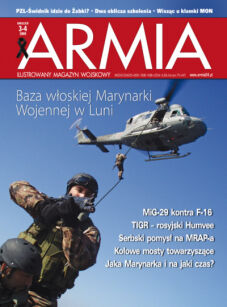 13 - Armia