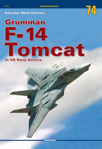 3074 - Grumman F-14 Tomcat in US Navy Service