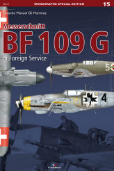 96015 - Messerschmitt BF 109 G in Foreign Service
