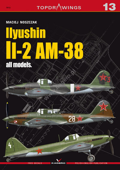 7013 - Ilyushin Il-2 AM-38 all Models